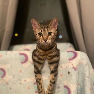 Meet your Posher, Emily